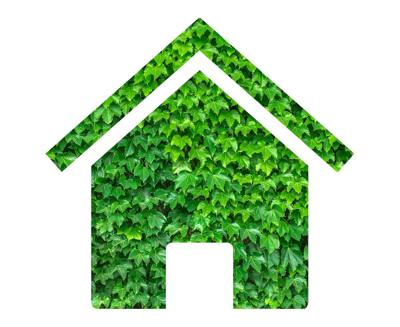 house, sustainable, environmental-3755324.jpg