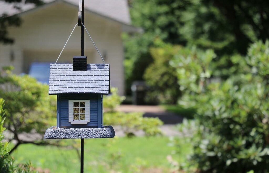 birdhouse, bird house, small-2216747.jpg