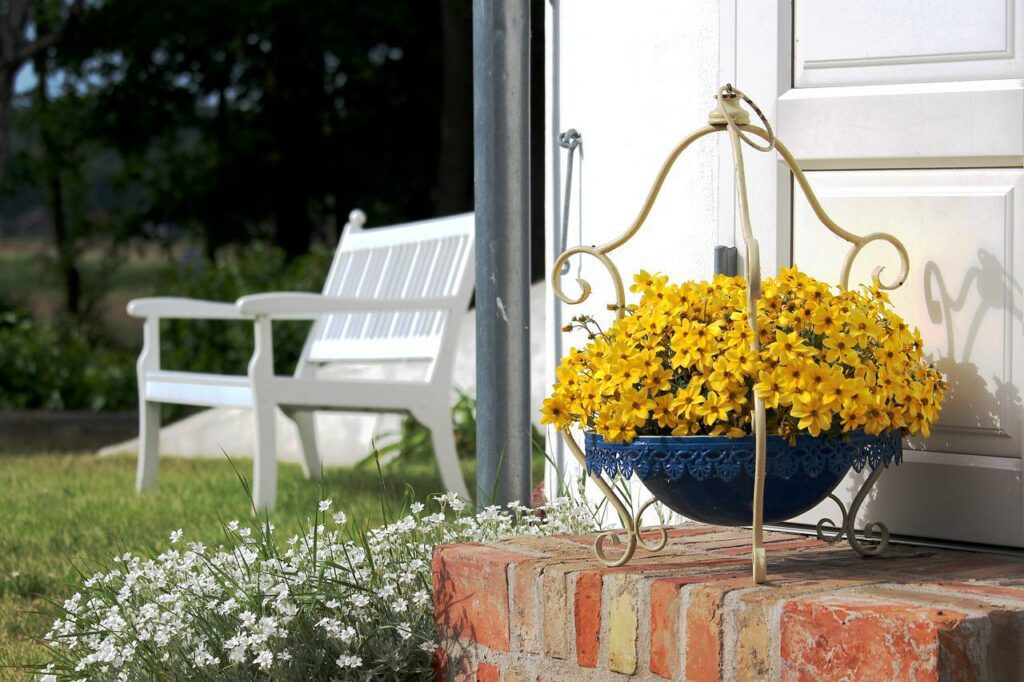 flowers, flower pot, front door-6395917.jpg