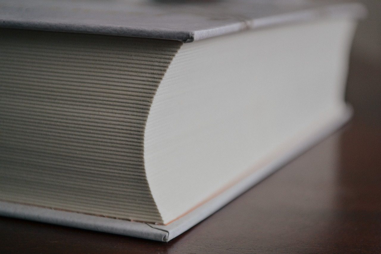 big, book, business-2941838.jpg