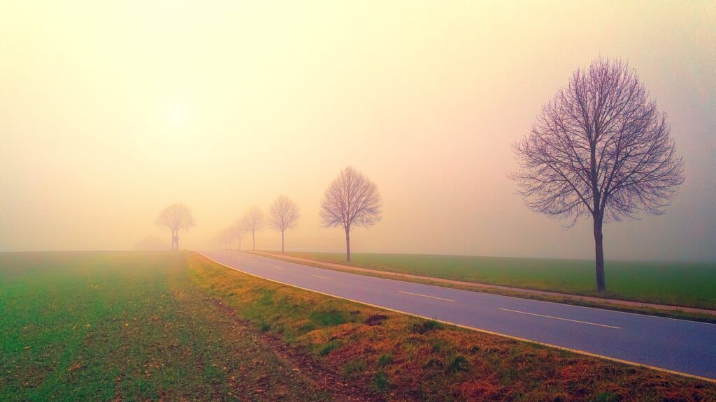 dawn, road, fog-3208158.jpg