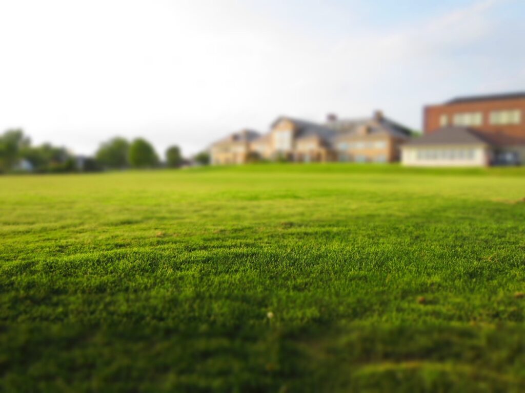 lawn, grass, mowing-768316.jpg