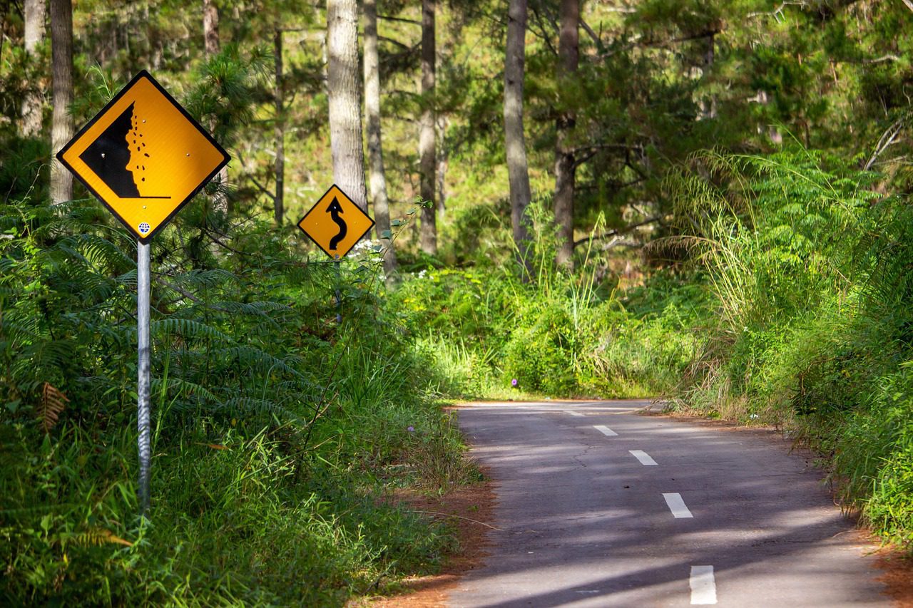 road, traffic signs, countryside-6486701.jpg