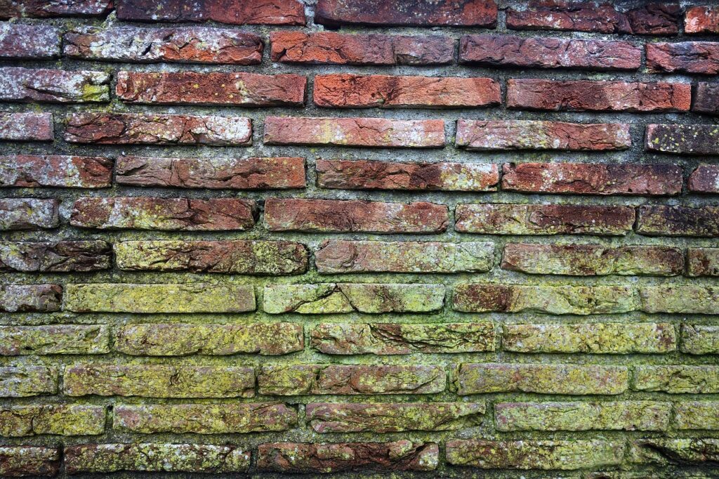 brick wall, mold, moldy brick wall-3130685.jpg