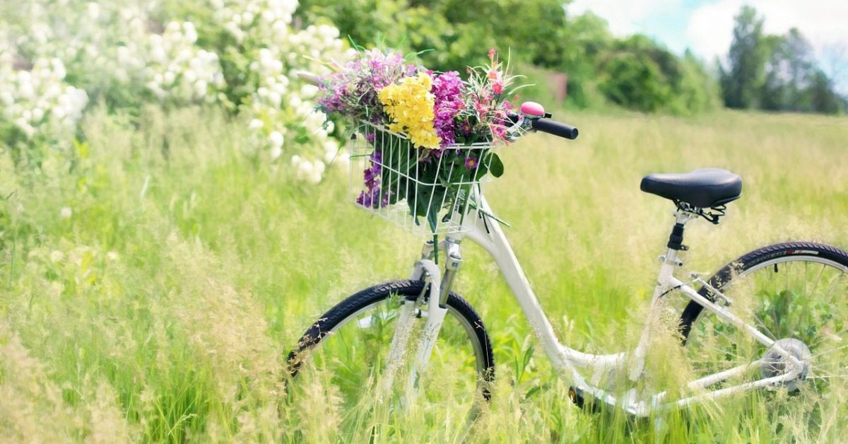 bicycle, meadow, flowers-788733.jpg