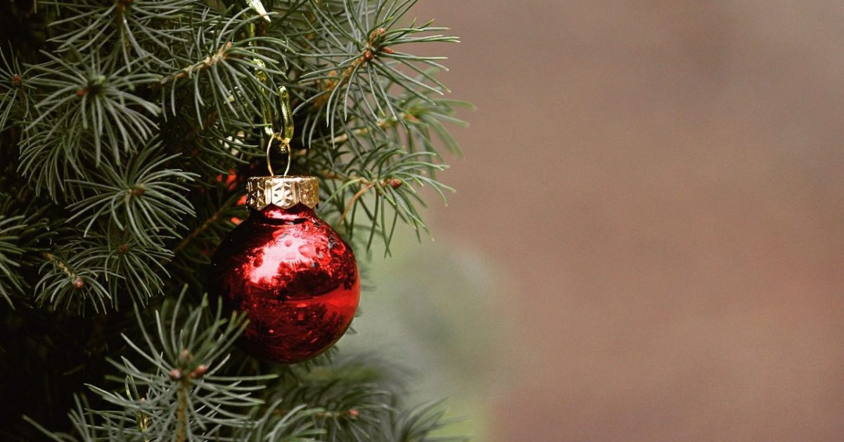 christmas, tree, fir tree-4704707.jpg