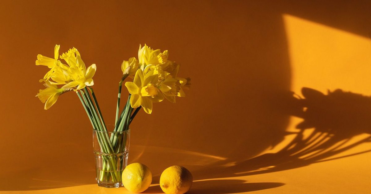 daffodils, home decor, yellow-6523446.jpg