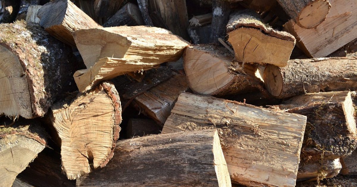 log, firewood, wood pile-1640898.jpg