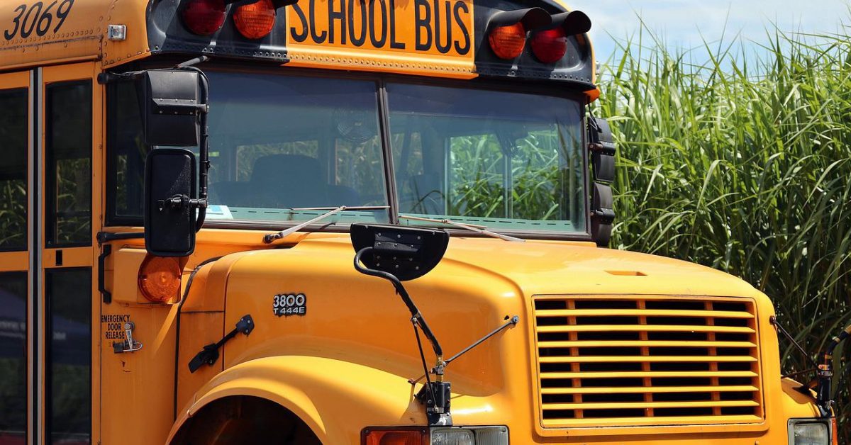 school bus, school, bus-4406479.jpg